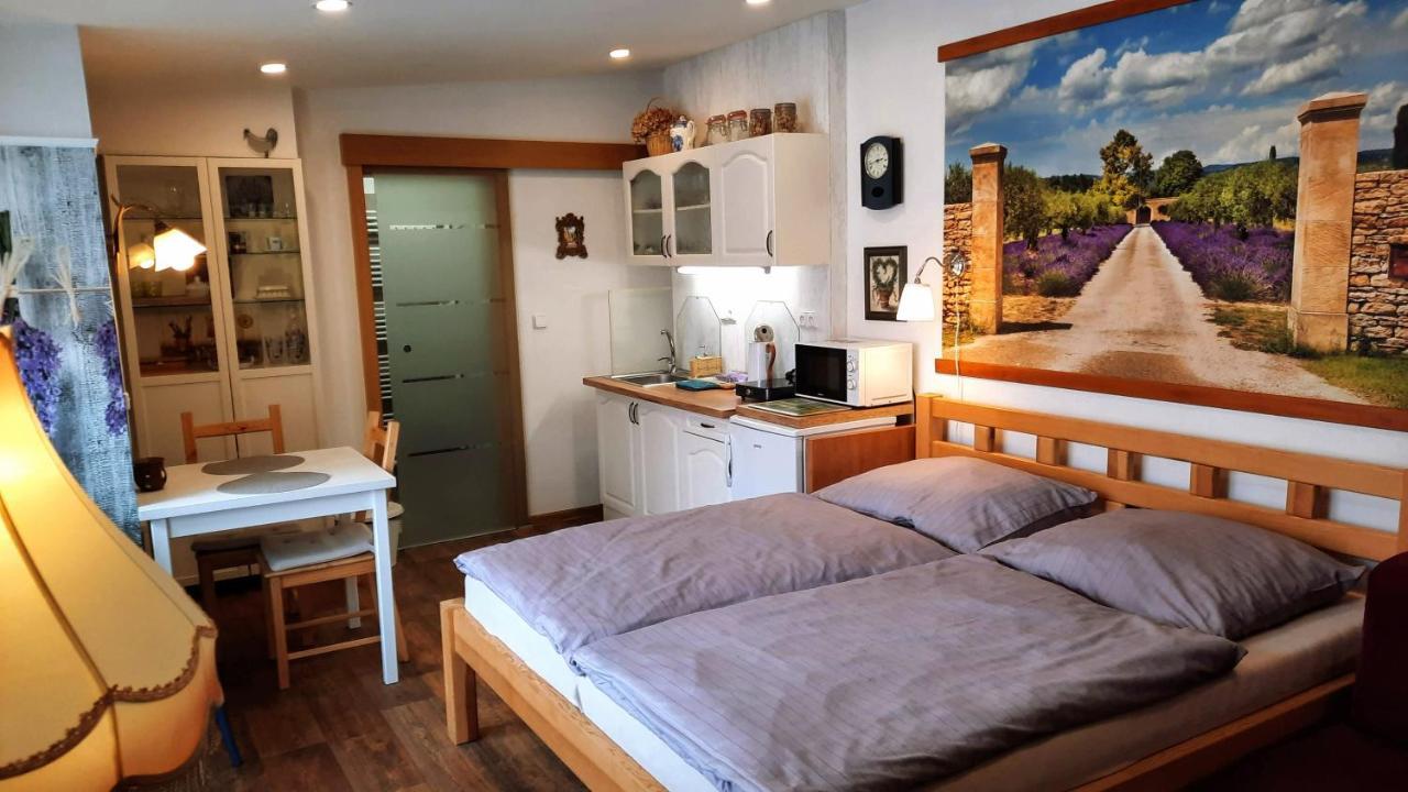 Apartmán Za kopcem Boskovice Exterior foto