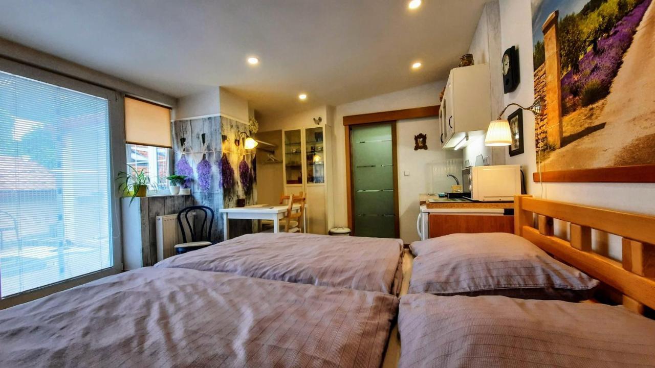 Apartmán Za kopcem Boskovice Exterior foto